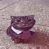 ⟪SergDam⟫