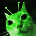 𝖍𝖔𝖗𝖓 𝖉𝖔𝖌