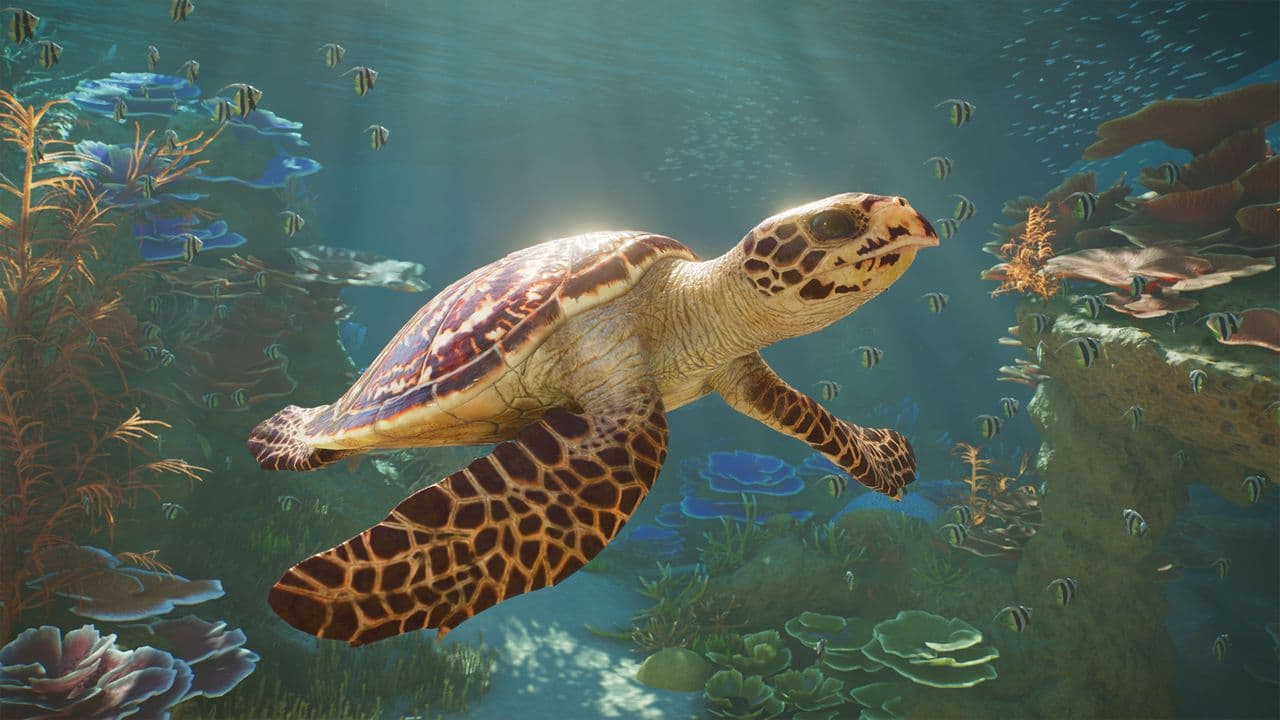 Planet Zoo 2's gameplay reveal shows how to manage the new aquariums and aviaries